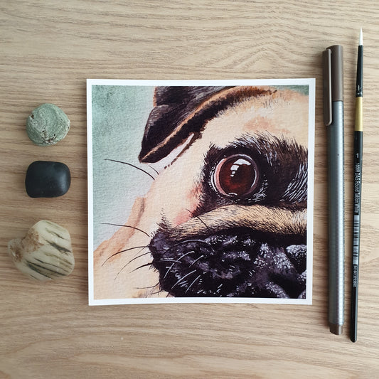 5x5 inch Glossy Print - Cheeky Pug