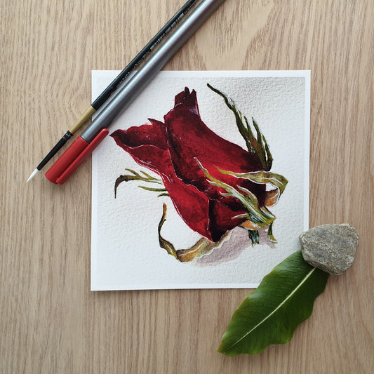 5x5 inch Glossy Print - Red Rose