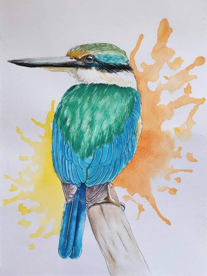 Watercolour A4 Print - Kōtare (Kingfisher)