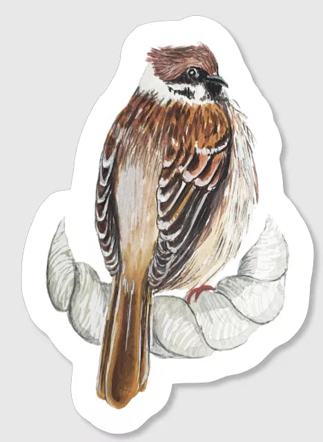 Sparrow Sticker